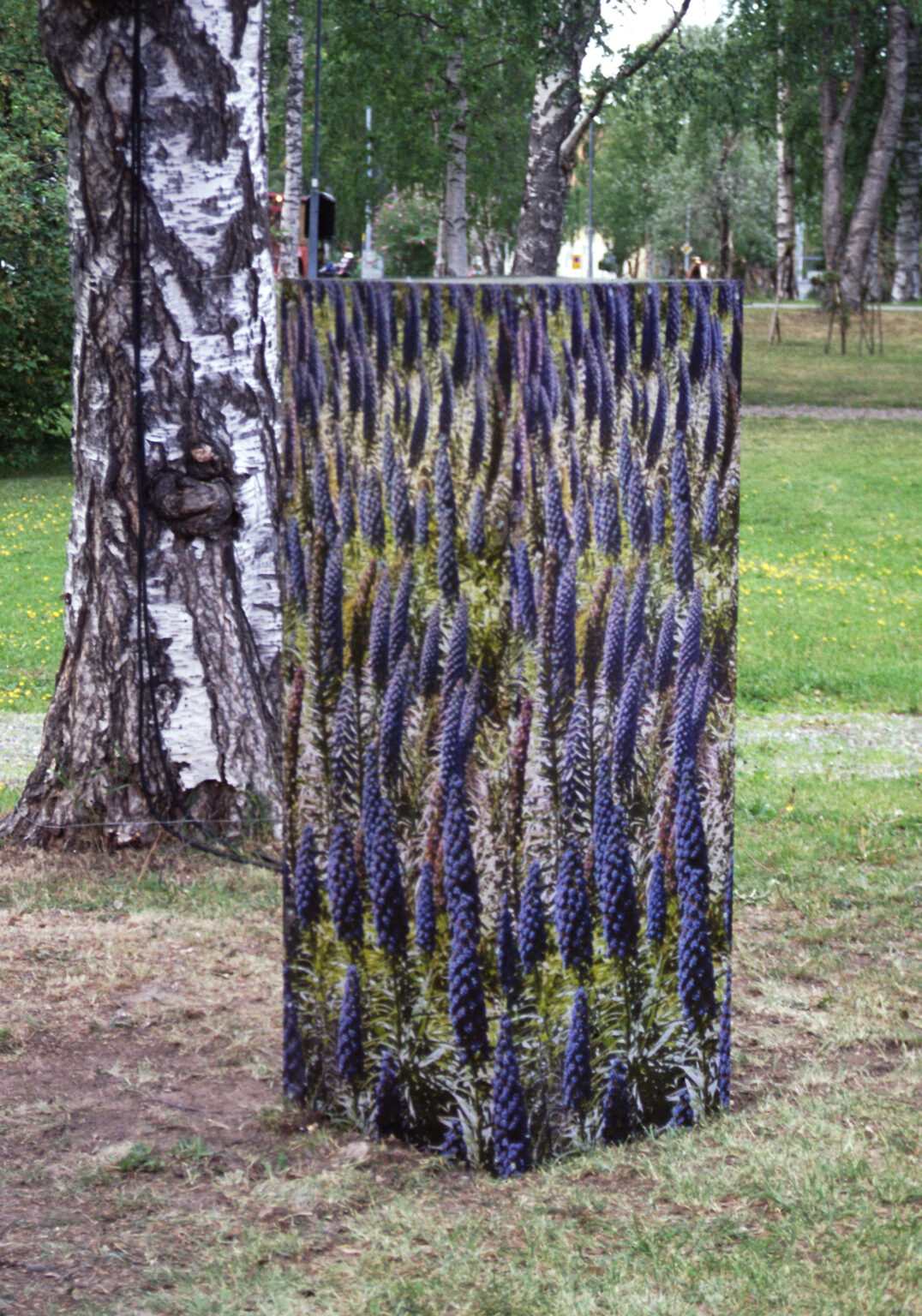 Irina Nakhova, Artificial Shrubbery, Lupins, installation view, printed adhesive vinyl on acrylic, electronics, 2003