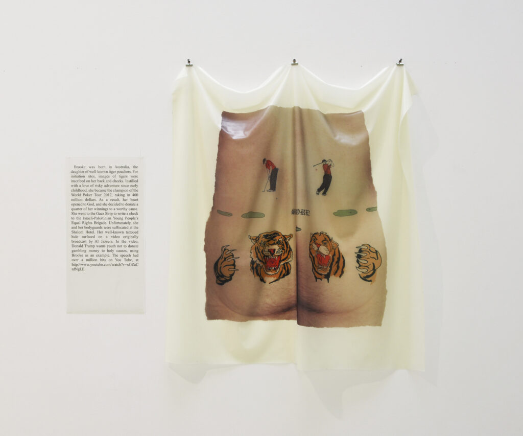 Irina Nakhova, Skin No. 4, solvent inkjet on latex, 2010