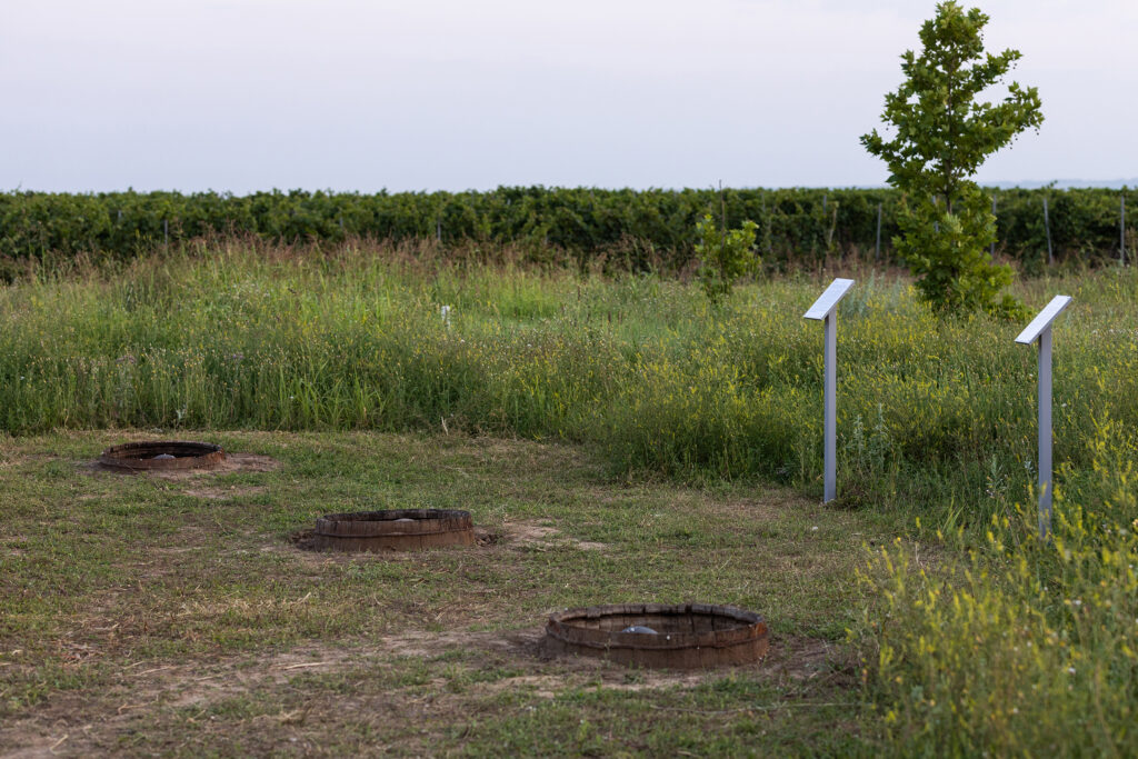 Irina Nakhova, Story of the Land, installation landscape view, Funeral Tradition with didactic labels, 2021