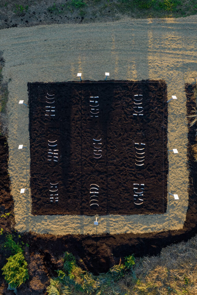 Irina Nakhova, Story of the Land, installation detail aerial view, Bone Divination, 2021
