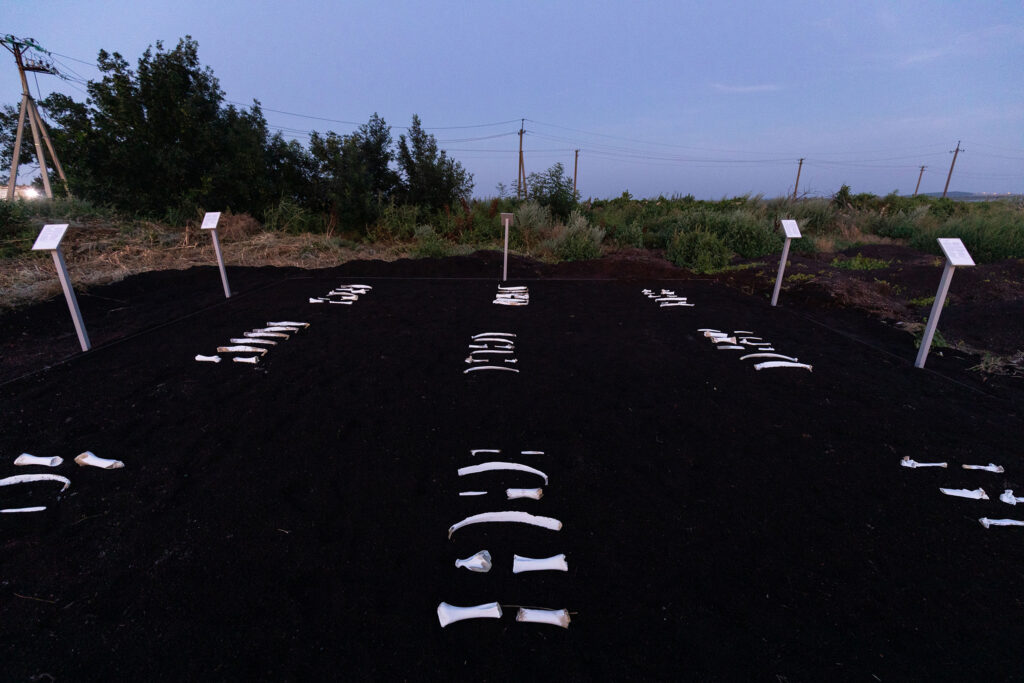 Irina Nakhova, Story of the Land, installation detail, Bone Divination with didactic labels, 2021