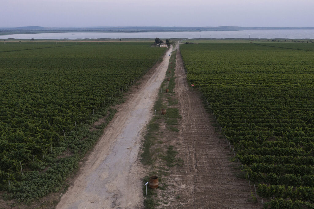 Irina Nakhova, Story of the Land, installation landscape view, Barrels with didactic labels, 2021